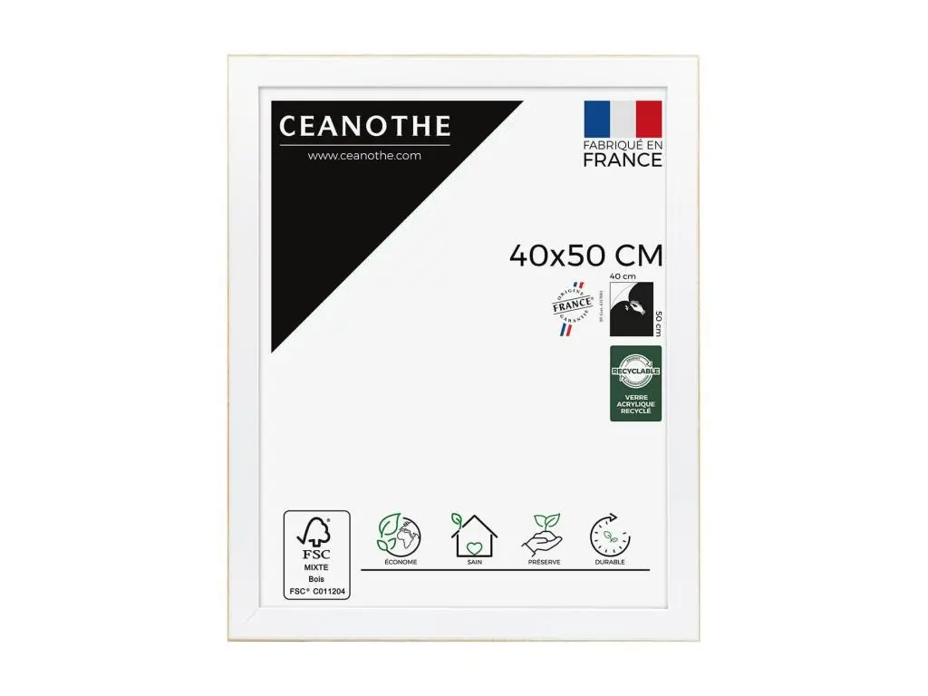 Ceanothe Cadre photo Newton