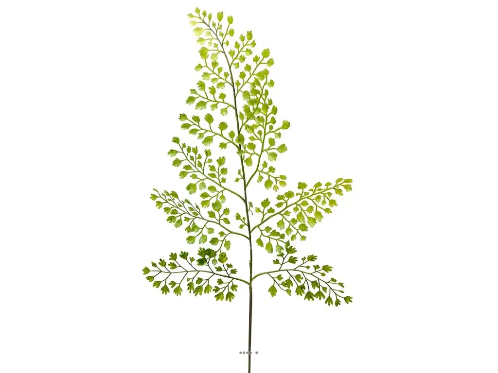 Adiantum artificielle en branche H 59 cm très aérienne L 20 cm